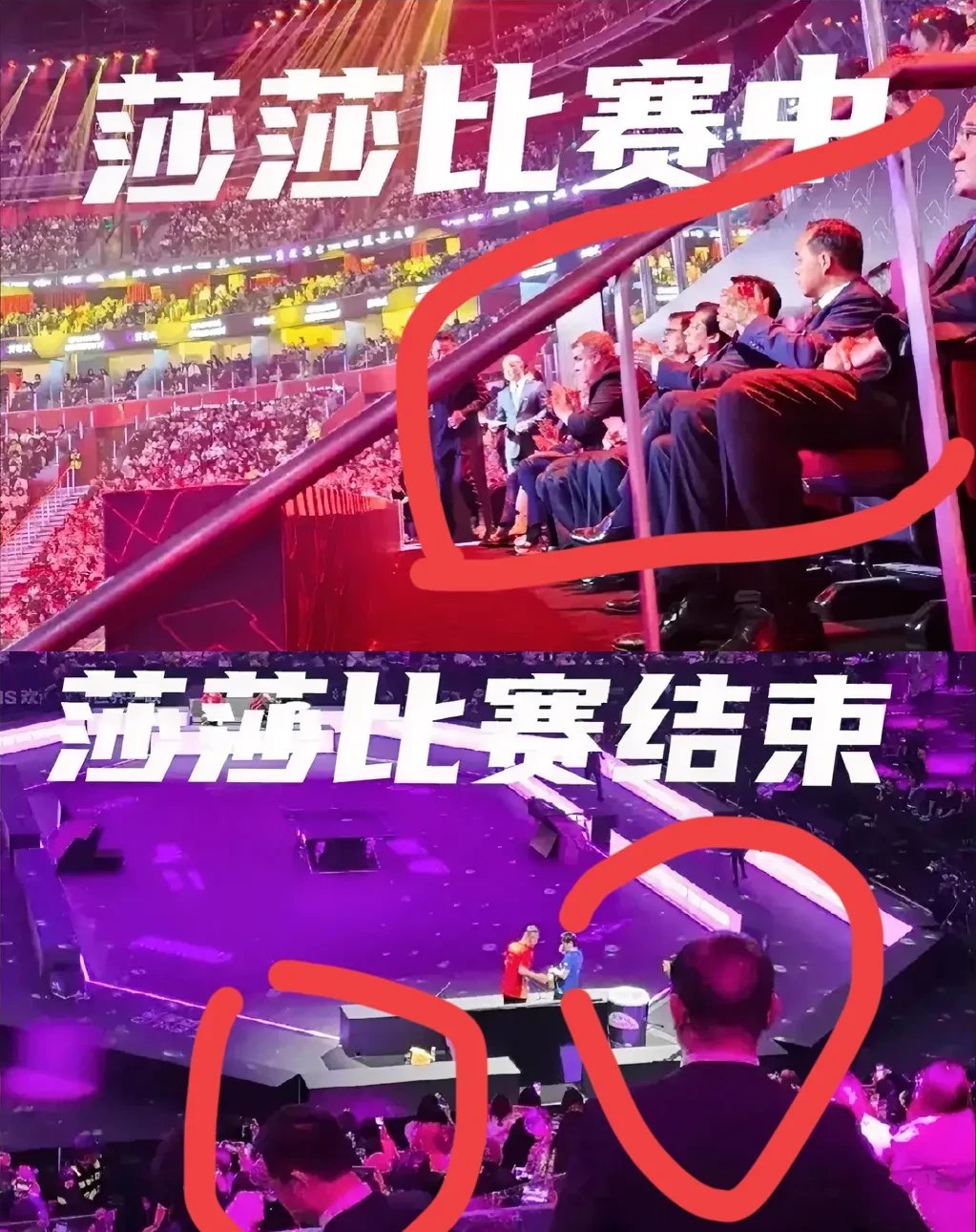 半岛体育新闻-观众喝彩，选手高歌猛进力夺金牌