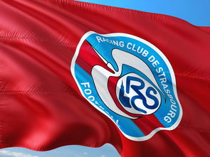 半岛体育投注-帕尔梅拉斯球迷现场助威，激发球队夺冠斗志