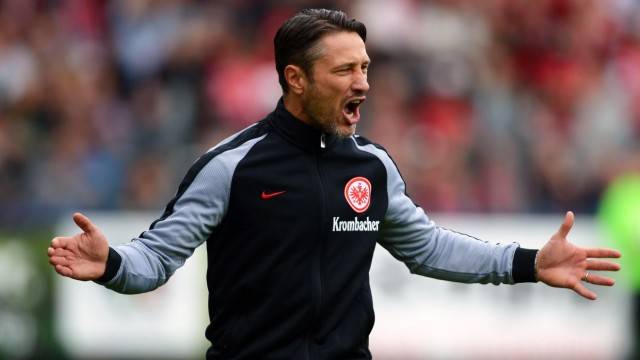 半岛体育app-法兰克福球迷积极早早赛季，期待好成绩的简单介绍